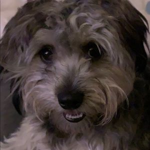 Meet your Posher, Kellee